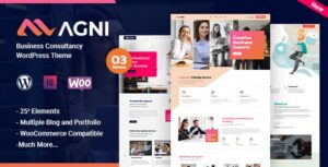 Agni - Business Consulting